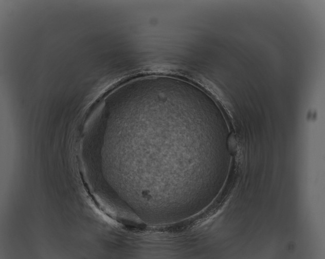 X0000093470577200710191147