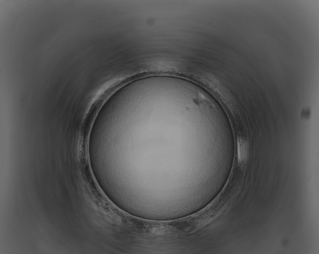 X0000093470579200710191147