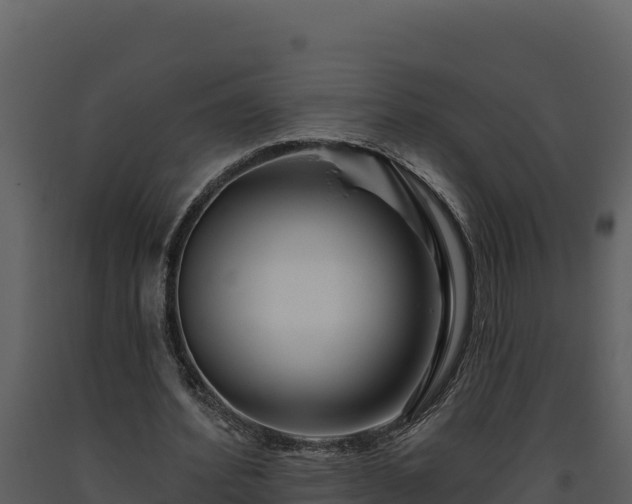 X0000093470580200710191147