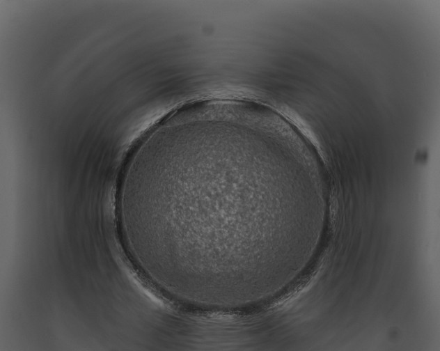 X0000093470581200710191147