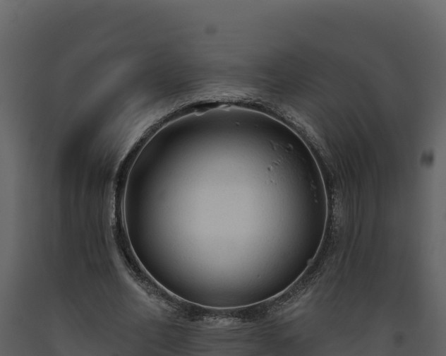 X0000093470582200710191147