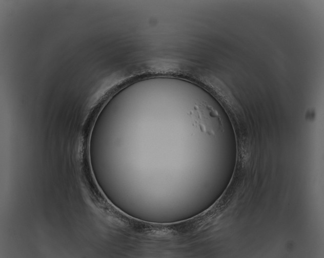 X0000093470583200710191147