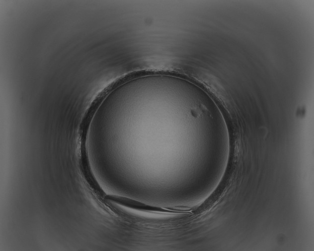 X0000093470584200710191147