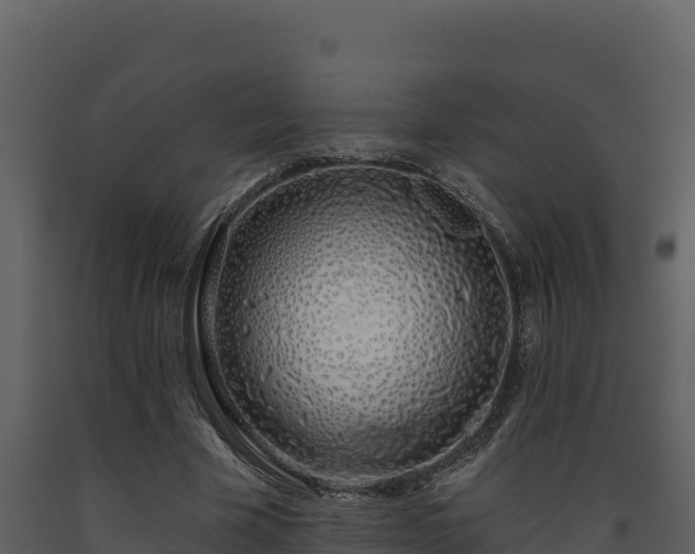 X0000093470585200710191147