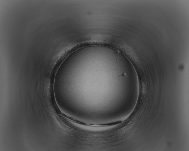 X0000093470588200710191147