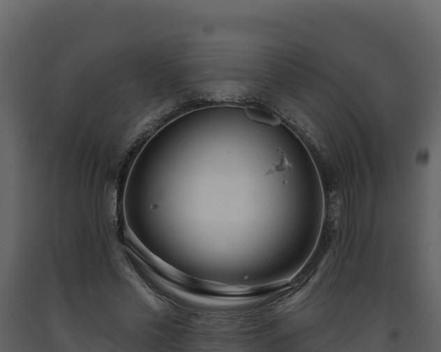 X0000093470589200710191147