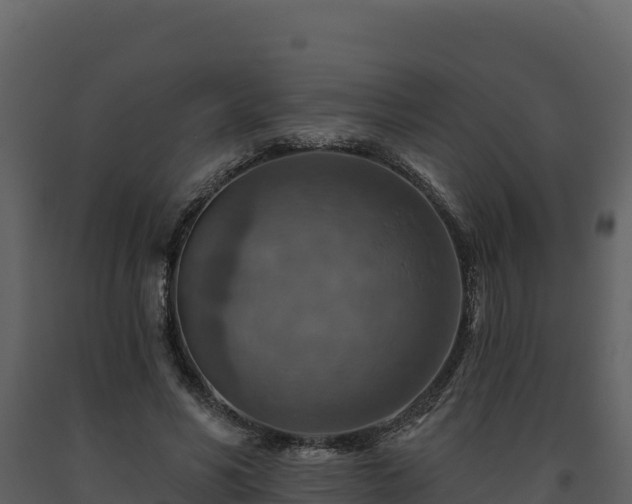 X0000093470590200710191147