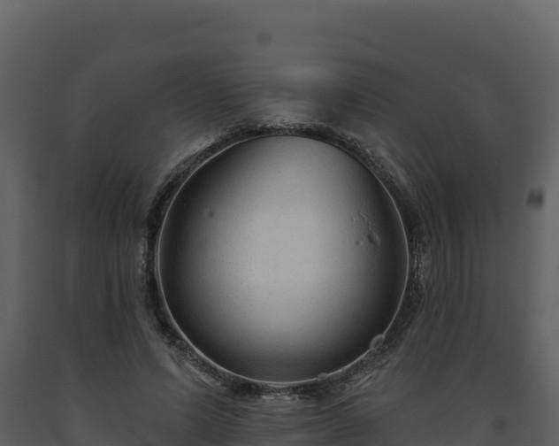 X0000093470591200710191147