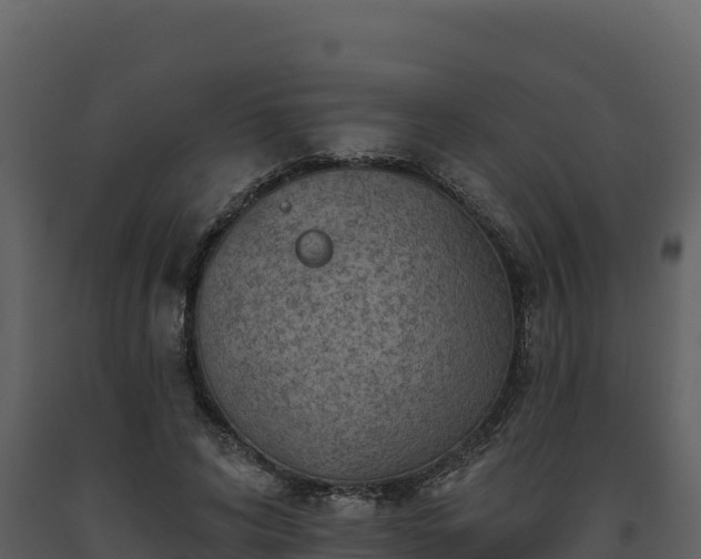 X0000093470592200710191147