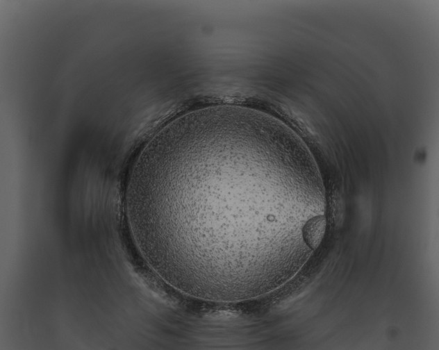 X0000093470594200710191147