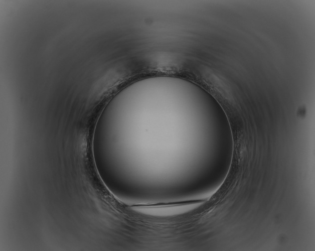 X0000093470595200710191147