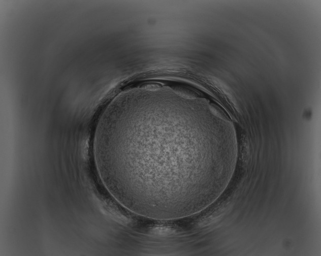 X0000093470596200710191147