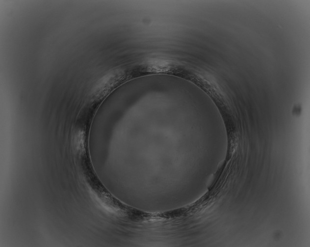 X0000093470598200710191146