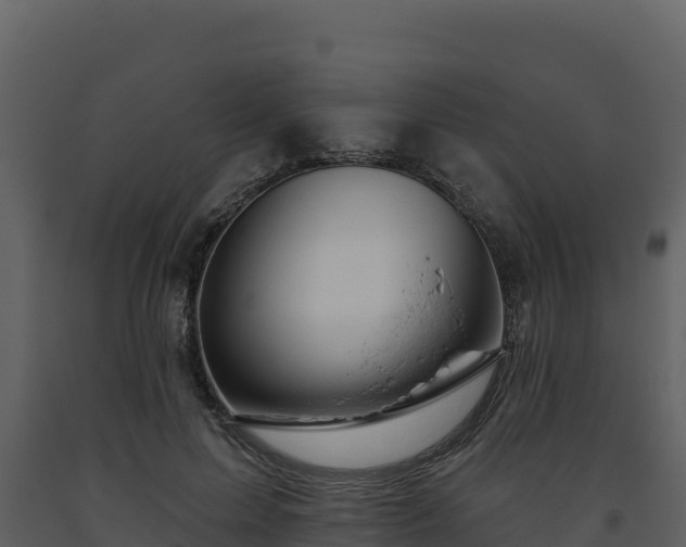 X0000093470599200710191146