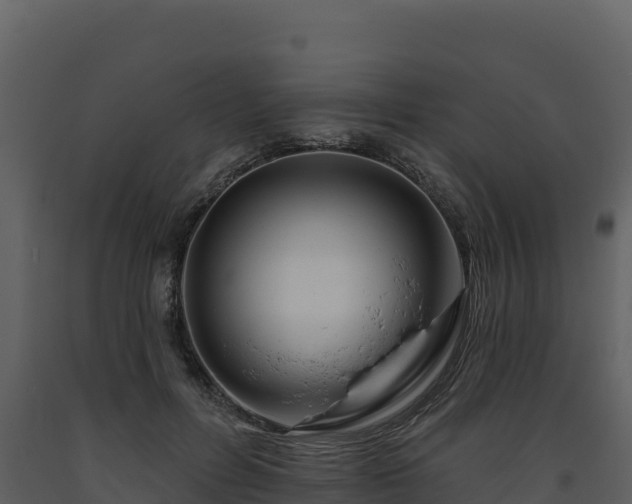 X0000093470600200710191146