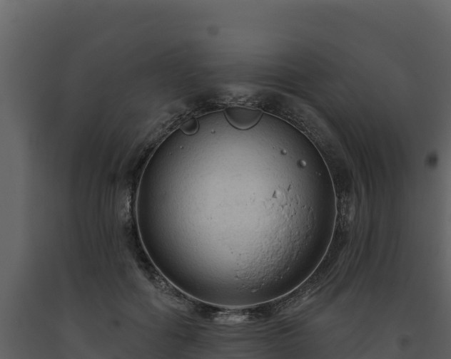 X0000093470602200710191146