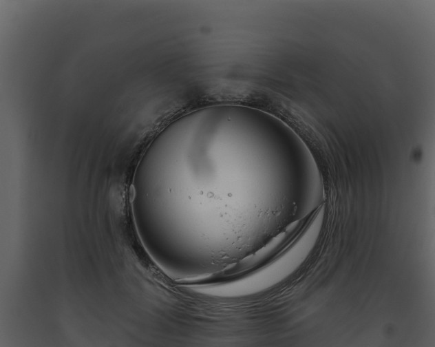 X0000093470604200710191146