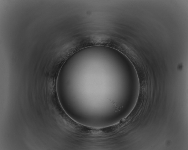 X0000093470605200710191146