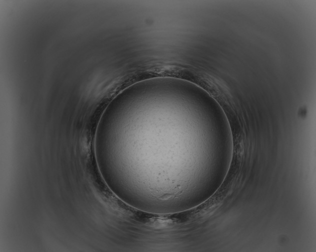 X0000093470607200710191146