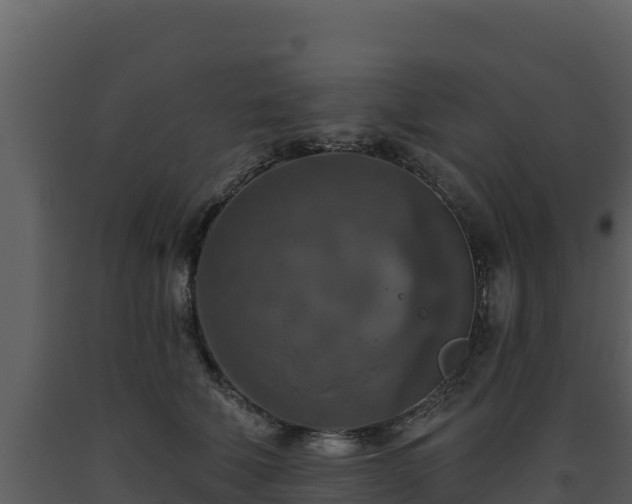 X0000093470610200710191146