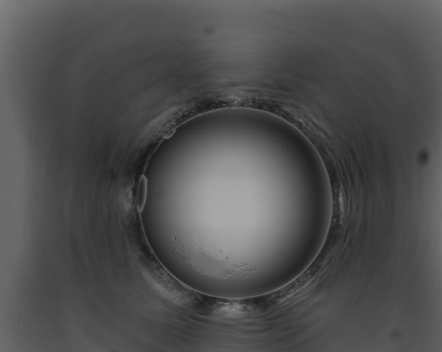 X0000093470611200710191146