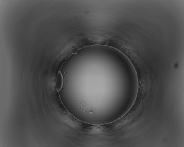 X0000093470612200710191146