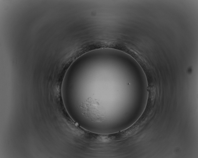 X0000093470613200710191146