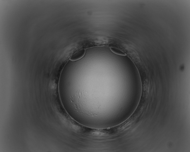 X0000093470614200710191146