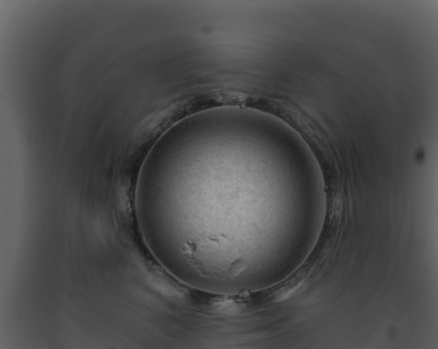 X0000093470616200710191146