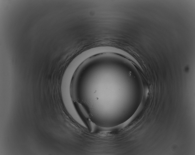 X0000093470617200710191146