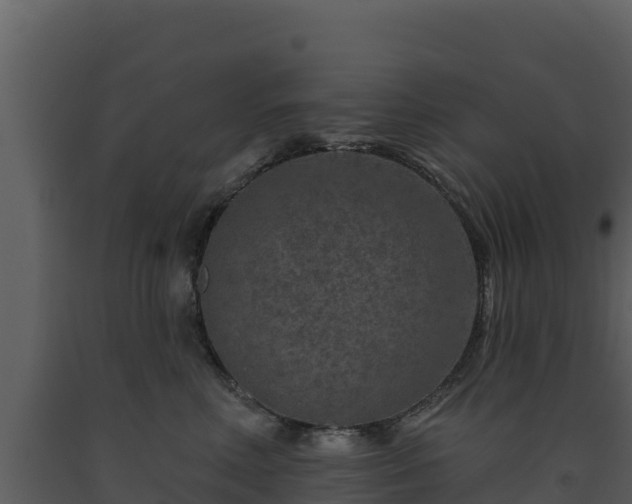 X0000093470618200710191146