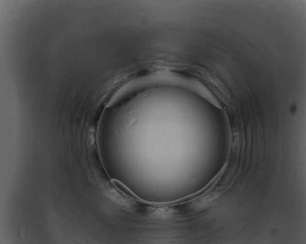 X0000093470621200710191146