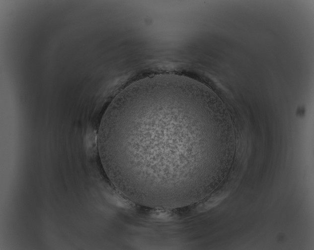 X0000093470624200710191146