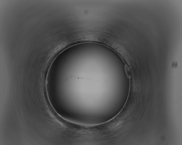 X0000093470625200710191145