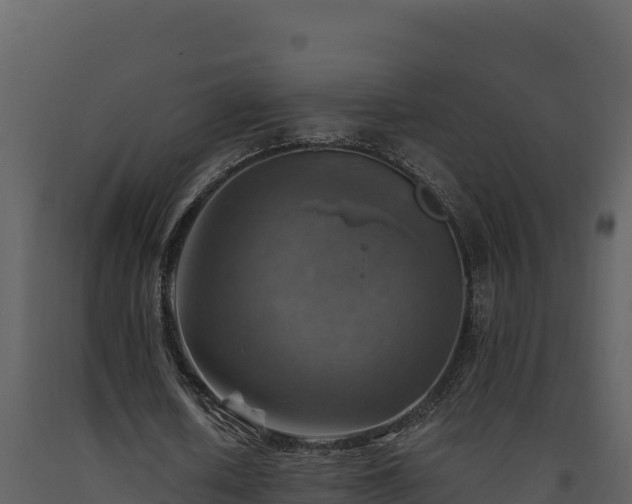 X0000093470626200710191145