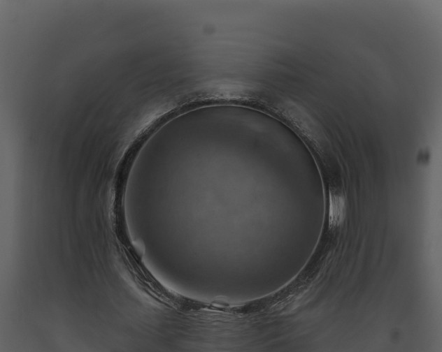 X0000093470627200710191145