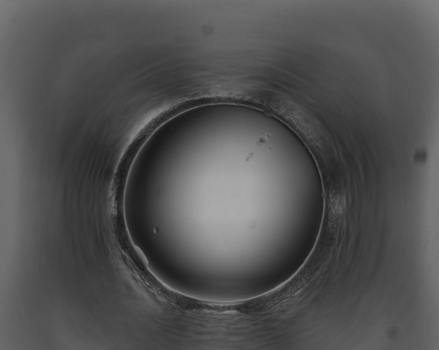 X0000093470628200710191145