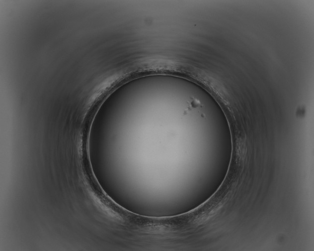 X0000093470629200710191145