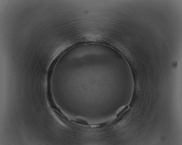 X0000093470630200710191145