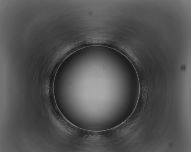 X0000093470631200710191145