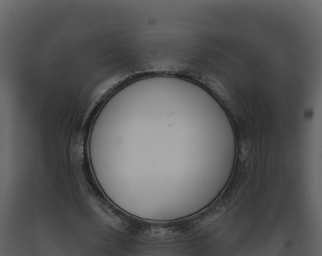 X0000093470632200710191145