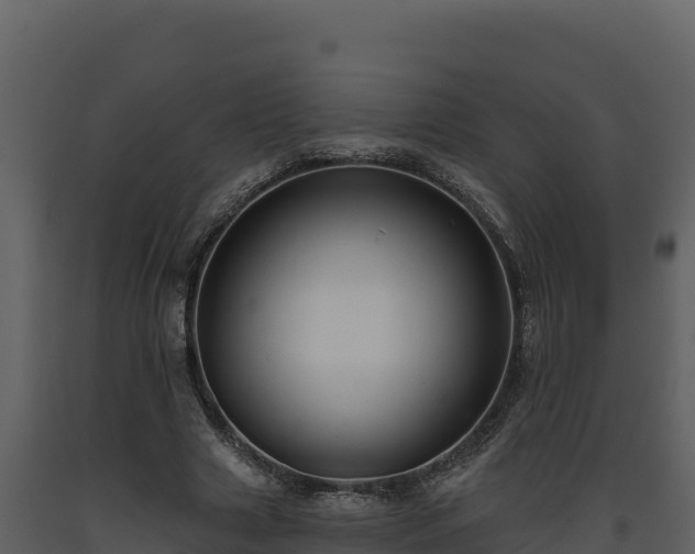 X0000093470633200710191145