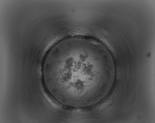 X0000093470634200710191146