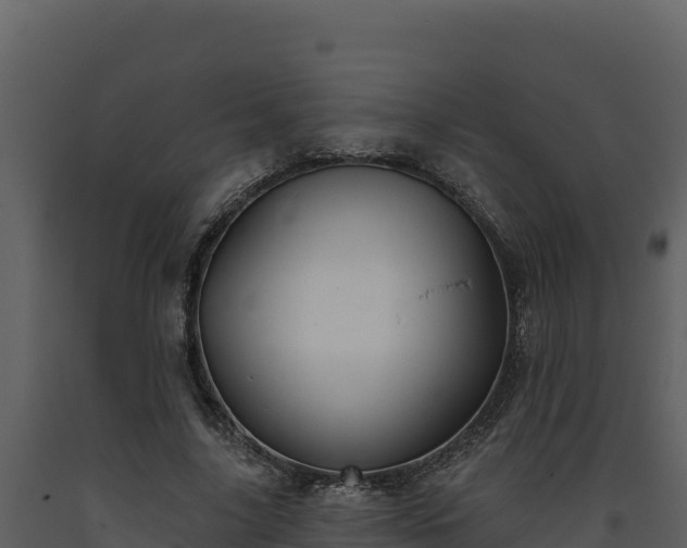 X0000093470635200710191146