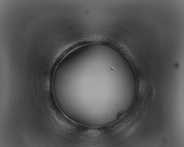 X0000093470636200710191146