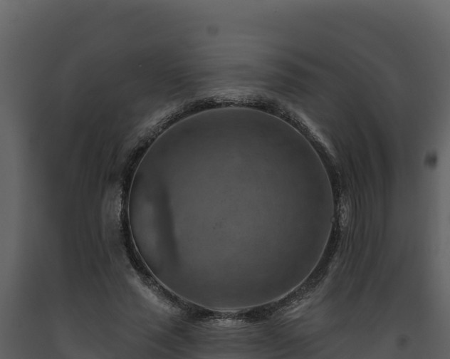 X0000093470637200710191146