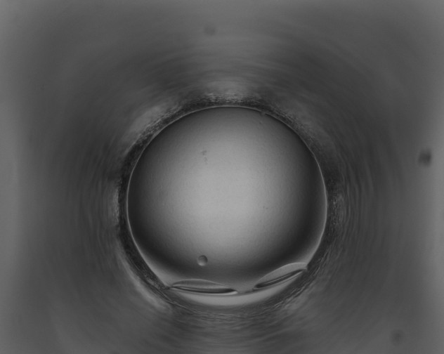 X0000093470638200710191146