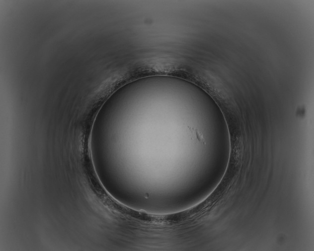 X0000093470639200710191146