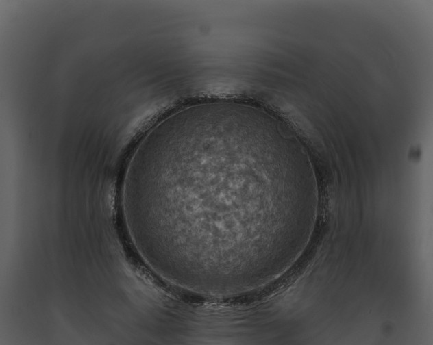 X0000093470640200710191146