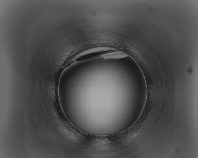 X0000093470642200710191146